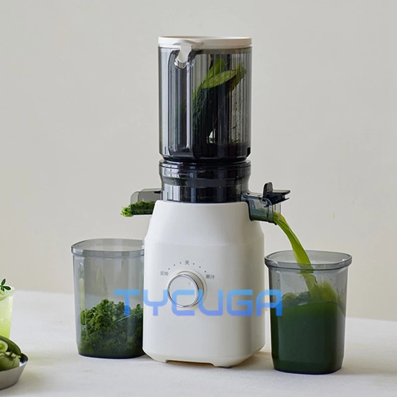 Professional Cold Press Juicer Low Speed Masticating Extractor 108mm Wide Mouth Feed Chute 1100ml LargeCapacity High Juice Yield